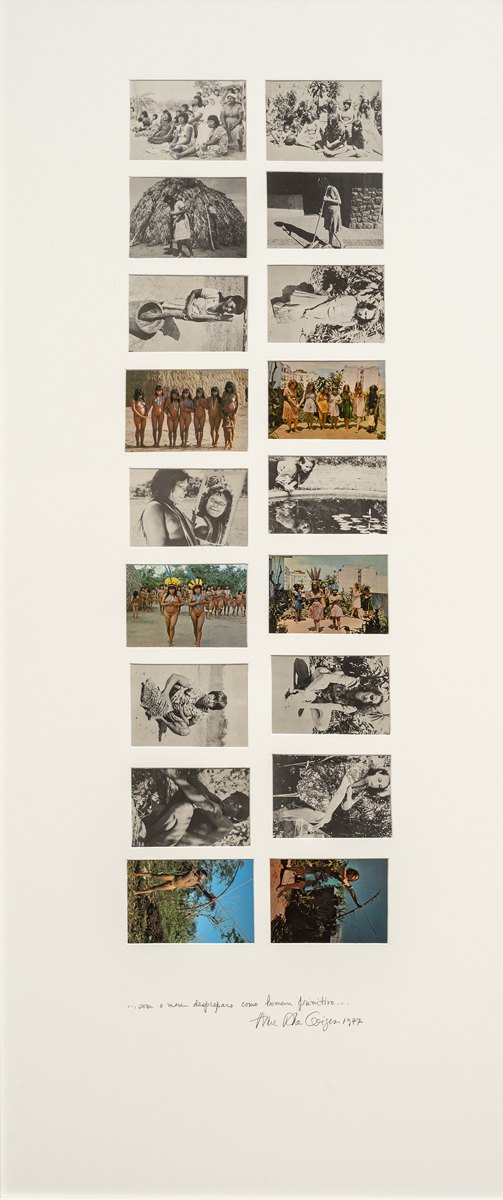 Brasil nativo/Brasil alienígena, obra de Anna Bella Geiger