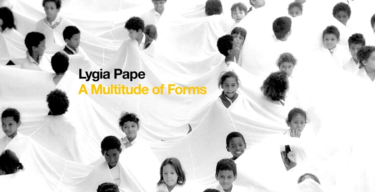 Divisor, ação coletiva de Lygia Pape