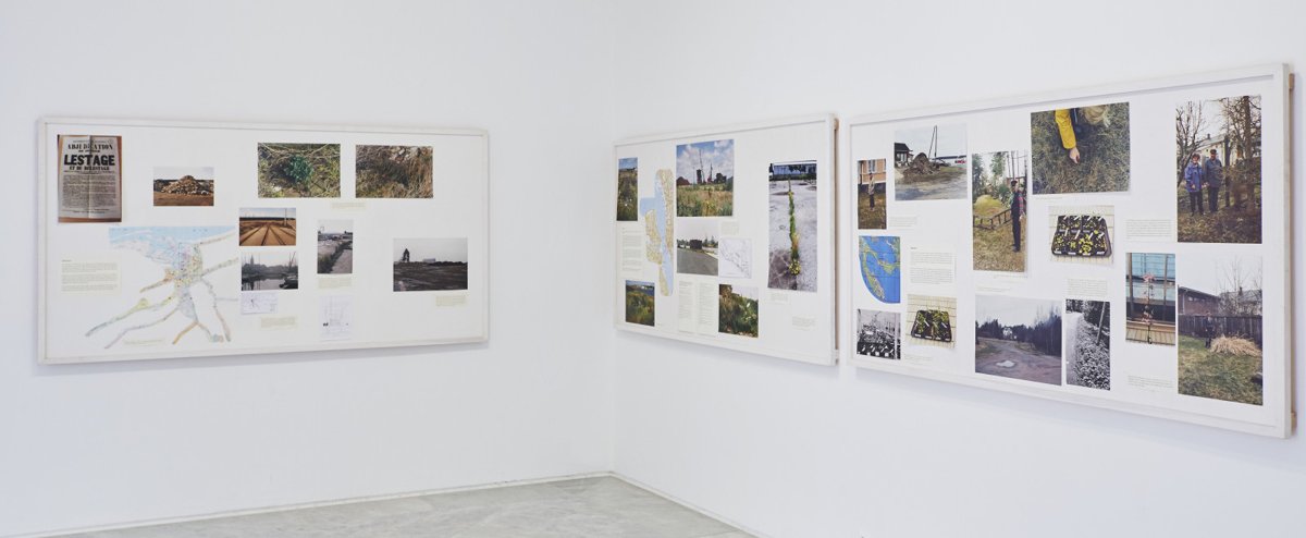 Seeds of Change, obra de Maria Thereza Alves